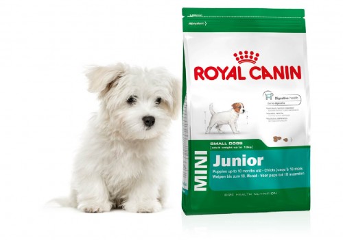 royal canin puppy maltese